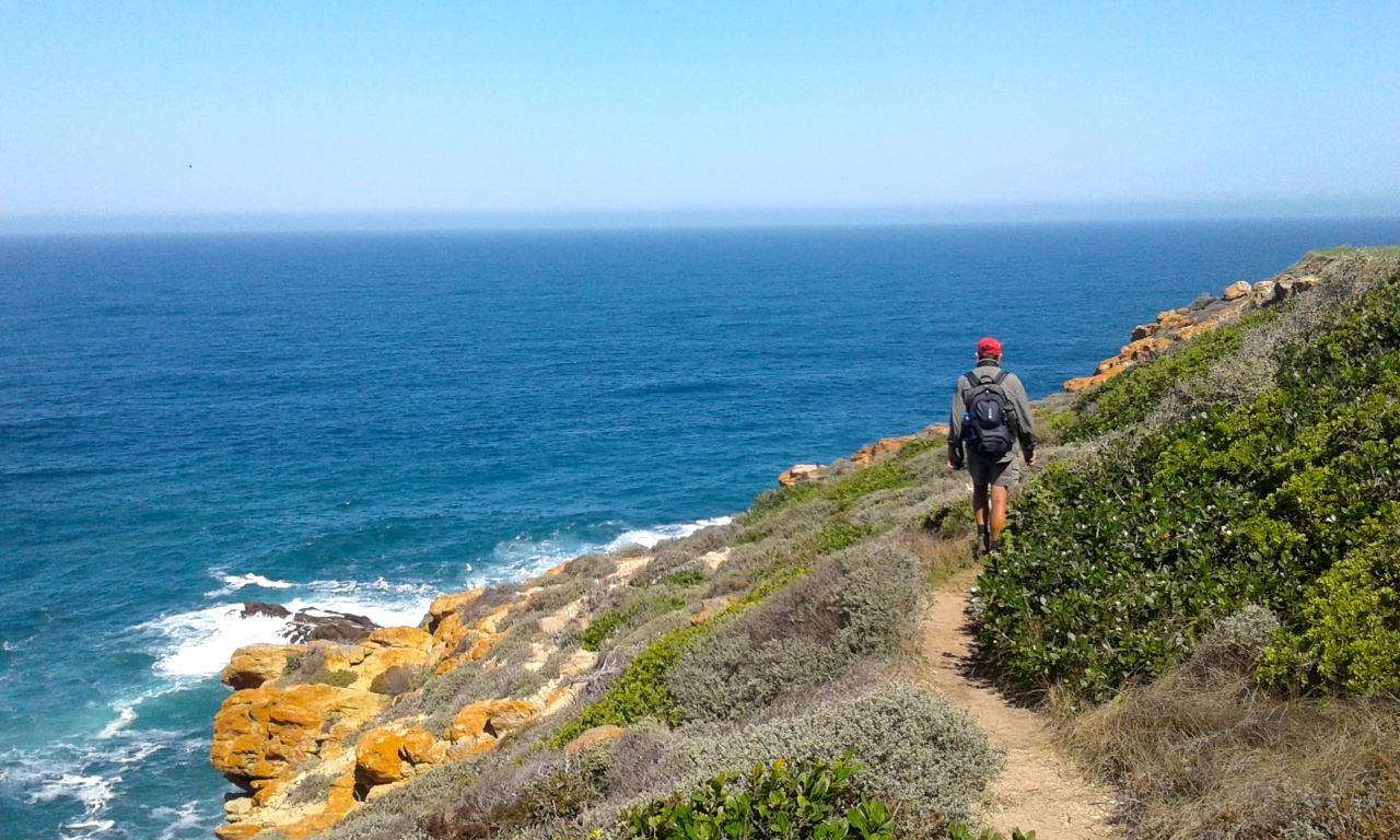 Oystercatcher Trail