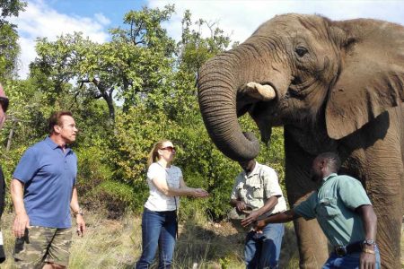 Hartbeespoort Elephant Sanctuary – From Johannesburg