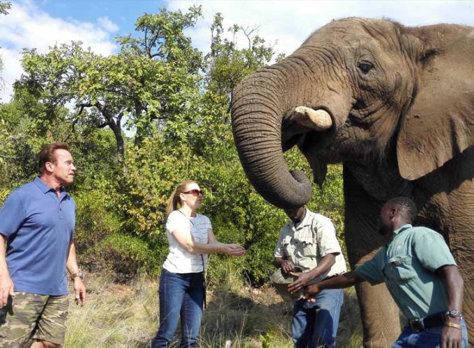 Hartbeespoort Elephant Sanctuary – From Johannesburg