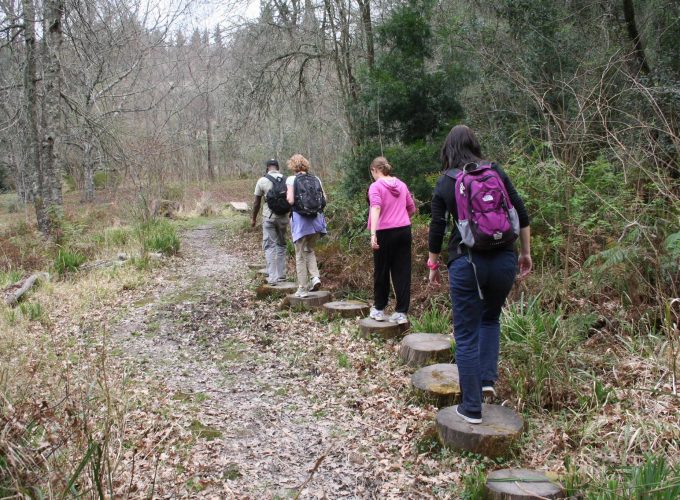 Hogsback Guided Hike